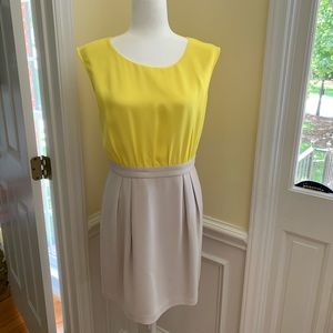 Ann Taylor Loft dress.